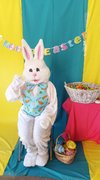 The Easter Bunny