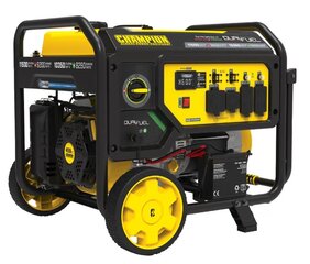 Large Generator