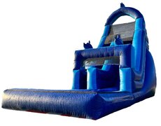 16 ft. Dolphin Water Slide
