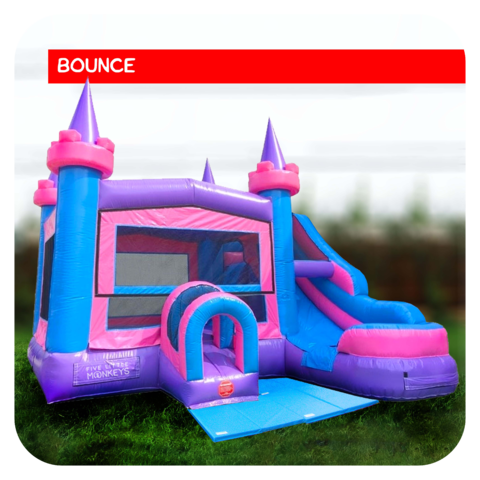 Slide & Castle Jumper Rental