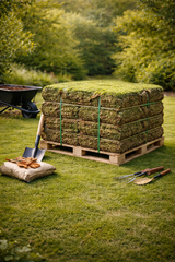 Bahia Sod Pallet
