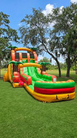 Tropical Inferno Dual Lane Water Slide