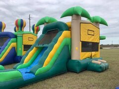 Picture of Palm Tree Paradise Combo Bounce House with Slide, Splash Landing