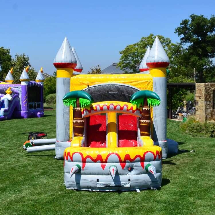 perfect water slide rental Odenville, AL