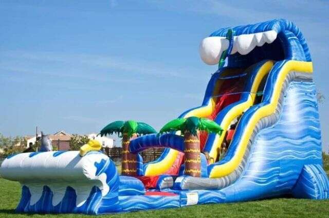 Huge Water Slide Rentals Arlington