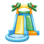 Third Party Vendor Waterslides