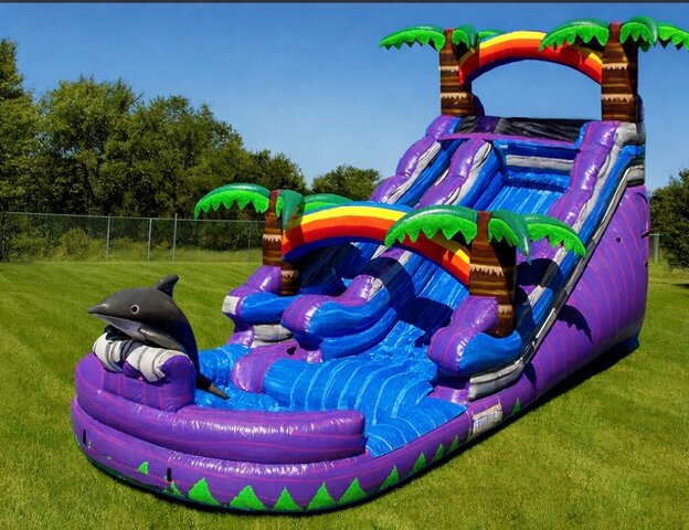 Dolphin Waterslide 