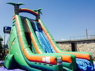 Tropical Dual Lane Slide 