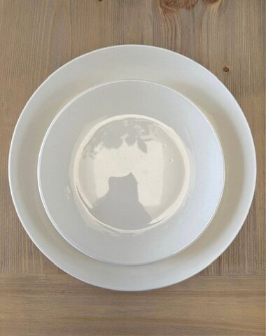Dinner and Salad Plate Combo