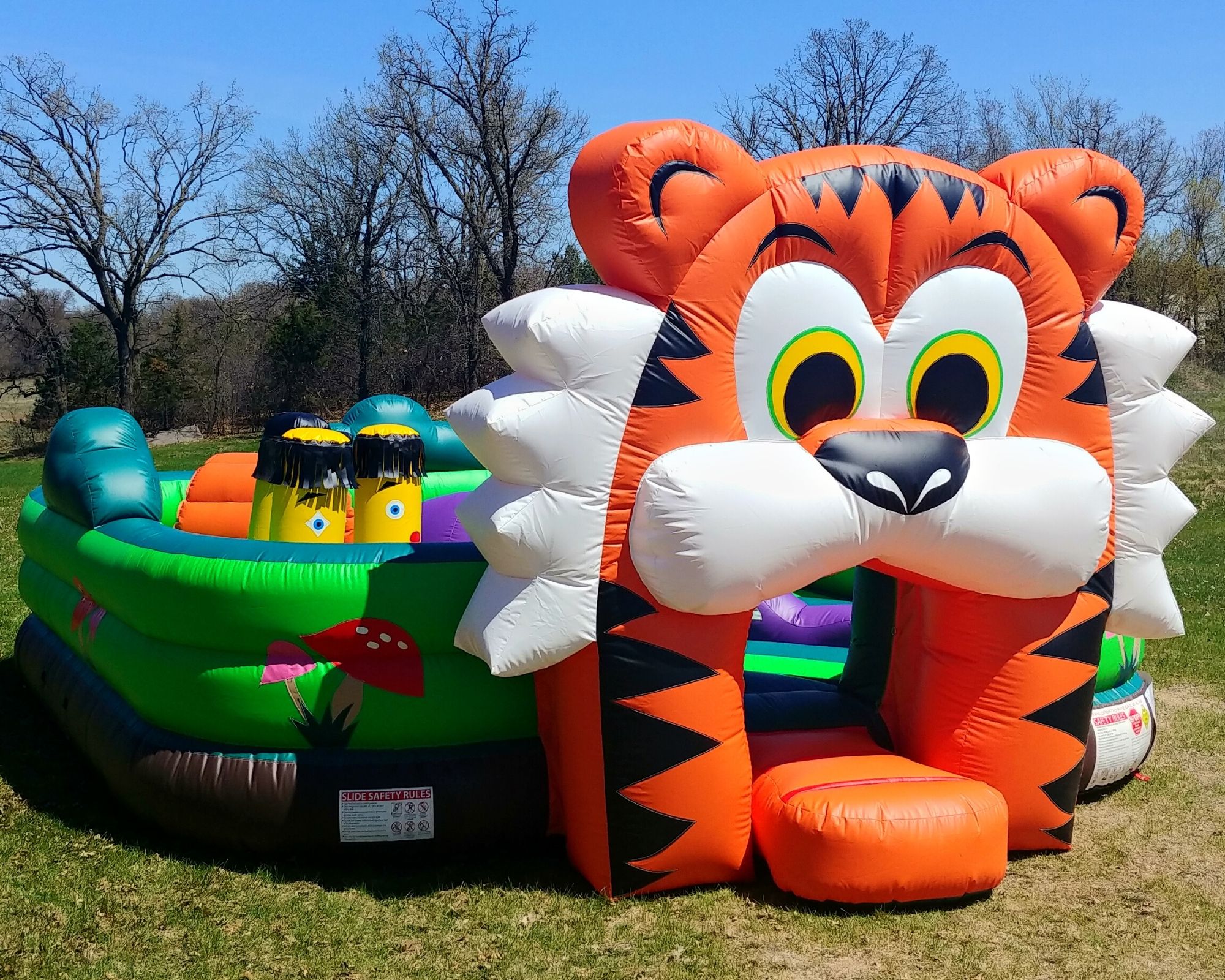 Bounce Houses Perfect for Any Celebration! — Teletype