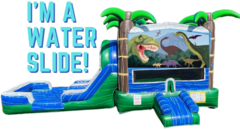 Blue Dinosaur Water Slide Combo