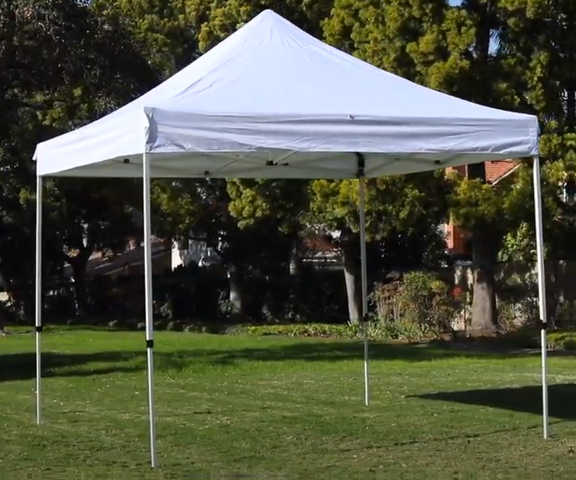 10x10 White Canopy