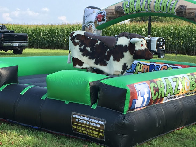 Crazy Mechanical Bull