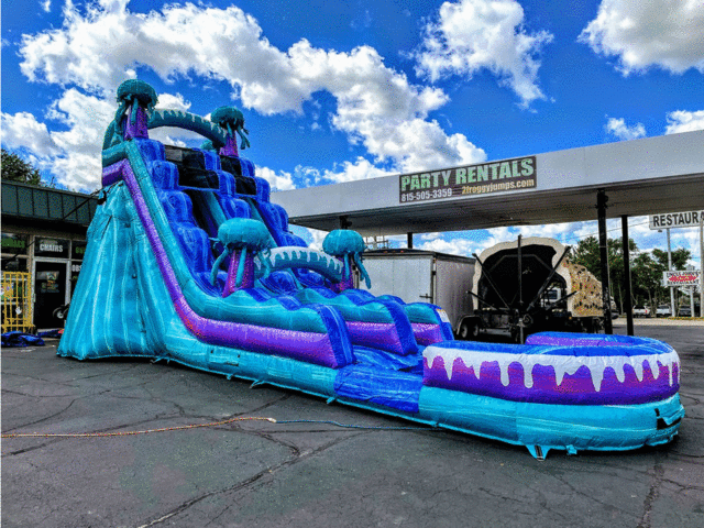 20' Electric Jelly Fish Water Slide 