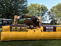 Fast and Furious Deluxe Mechanical Bull 2 Hours W/Attendant 