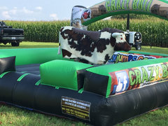 Real Hide! Deluxe Mechanical Bull 2 Hours W/Attendant $̶6̶2̶5̶ Now Only $599.99 each additional hour only $100 