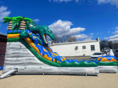 17' Jurassic Dinosaur Water Slide $̶3̶8̶9̶.9̶9̶ ON SALE!