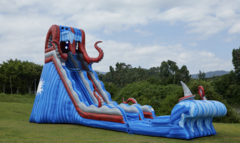 Slides / Water Inflatables