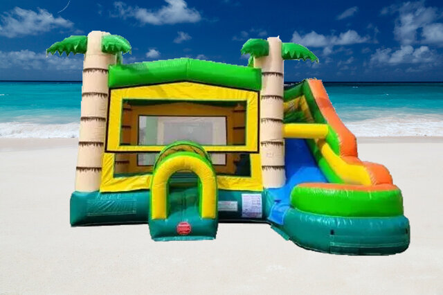 Tropical Bouncer With Slide (WET/DRY)