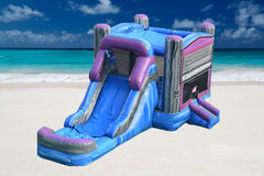Purple Marble Bouncer With Slide (WET/DRY)