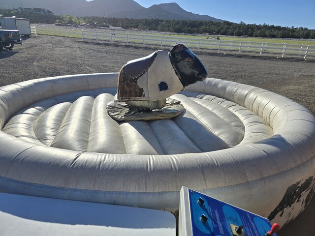 Mechanical Bull