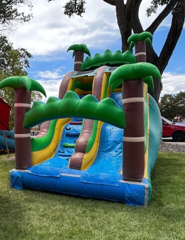 Palm tree slide