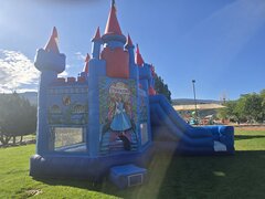 Princess Castle Combo