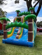 Palm tree slide