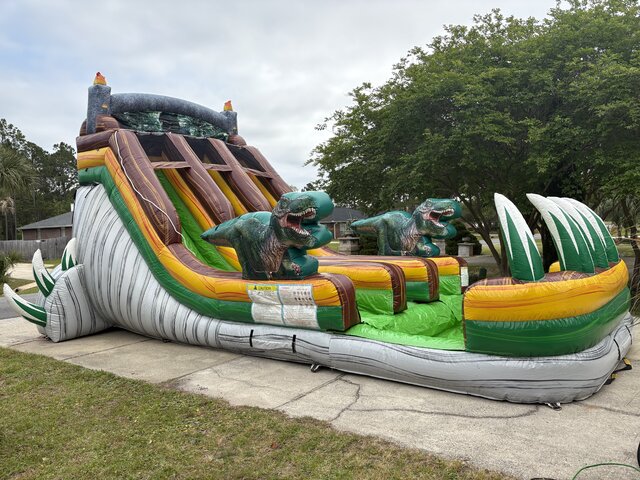 19' Dino double slide