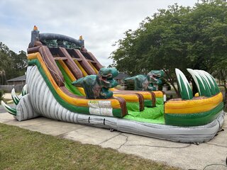 19' Dino double slide