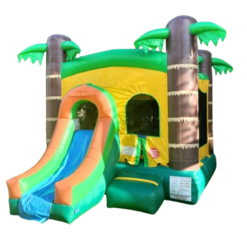 4-in-1 Tropical Slide