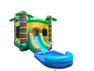 6-in-1 Tropical Water Slide