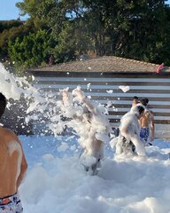 Foam Party