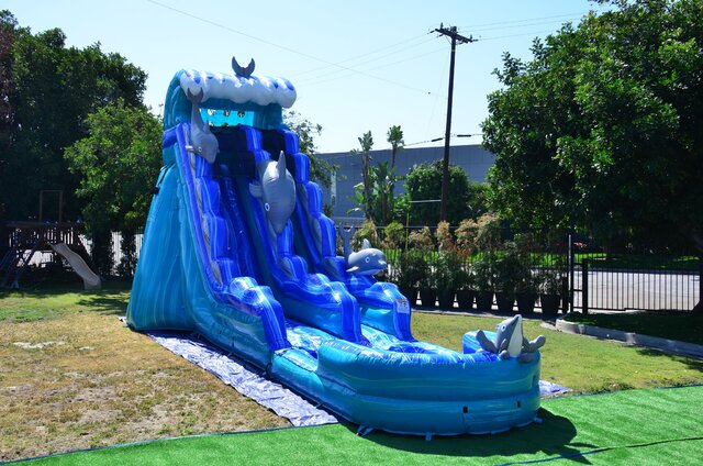 Dolphin 19 FT Slide