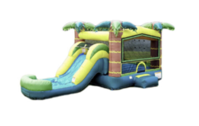 13ft x 22ft 🌴 Tropical 🌴  Bounce House & splash 💦 Pool <p>Basketball 🏀 Hoop inside</p>