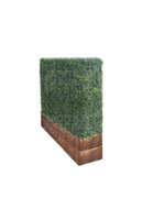 BoxWood Hedges Backdrop 4ft X 6ft 