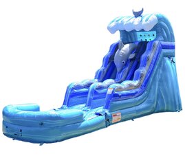 Dolphin Water Slide