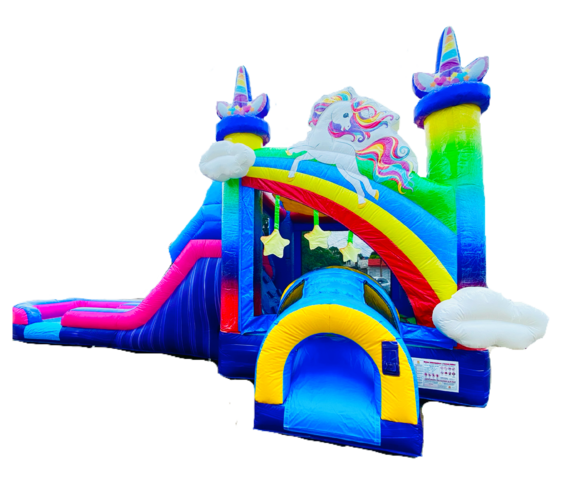 Unicorn Dual Lane Wet or Dry Slide Combo