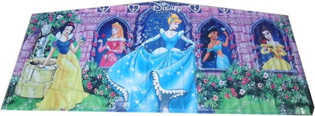 Disney Princess Art Panel 