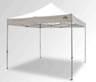 Canopy 10x10 EZ Canopy