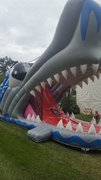 Shark Head Slide (Dry) Shark Head Slide (Dry)