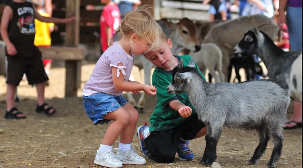 Children petting a goat at an outdoor petting zoo