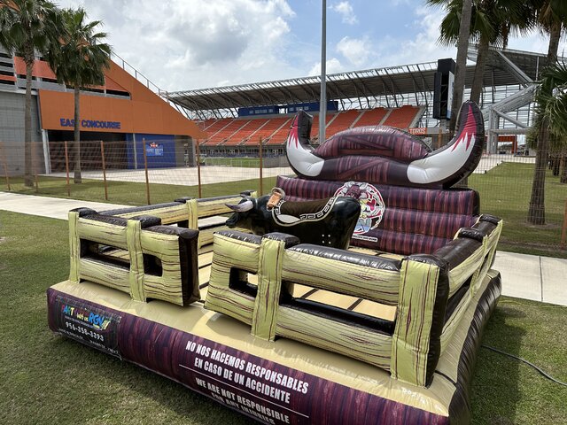 Riding Bull