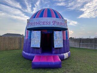 Princess Disco Dome