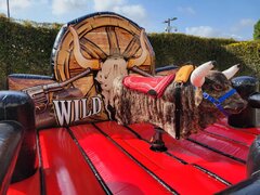 Mechanical Bulls