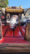 mechanical bull 