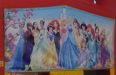 Banner - Disney Princess