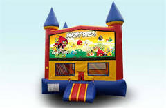 Angry Birds Castle