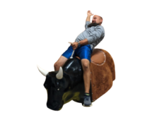 Mechanical Bull