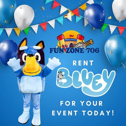 Bluey Fun Zone 706